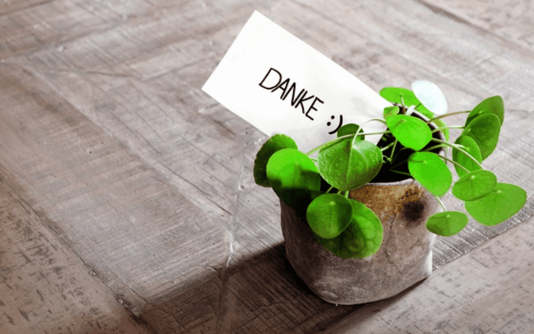 Wie Dankbarkeit dein Leben verändert