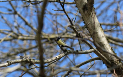 „Unter Stress bin ich ein anderer Mensch!“ – Das steckt wirklich dahinter.