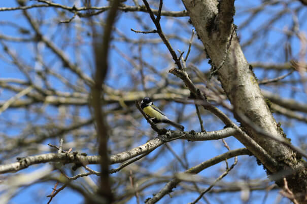 „Unter Stress bin ich ein anderer Mensch!“ – Das steckt wirklich dahinter.