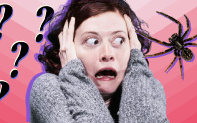 Wenn Angst den Alltag bestimmt – Ein Blick auf Phobien“