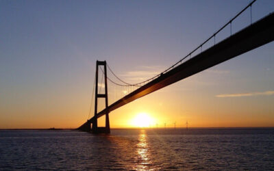 Business & Intuition – Dein unsichtbarer Erfolgsfaktor!