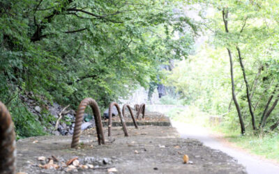 Körper und Business im Einklang!