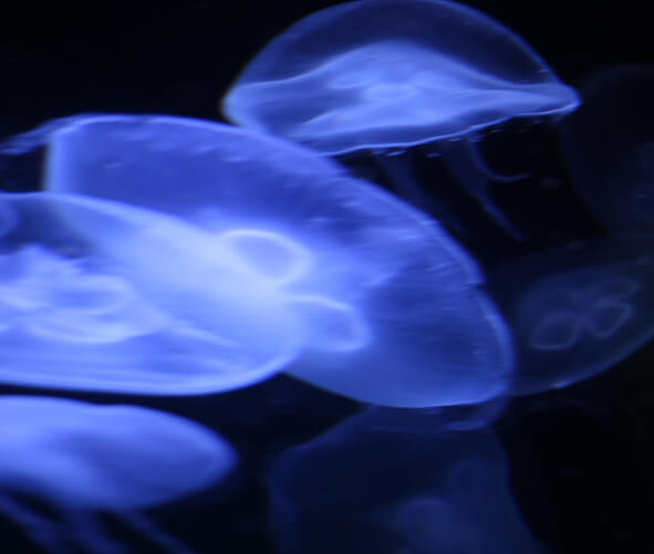 Mikroentscheidungen – Die unsichtbaren Hebel im Business.